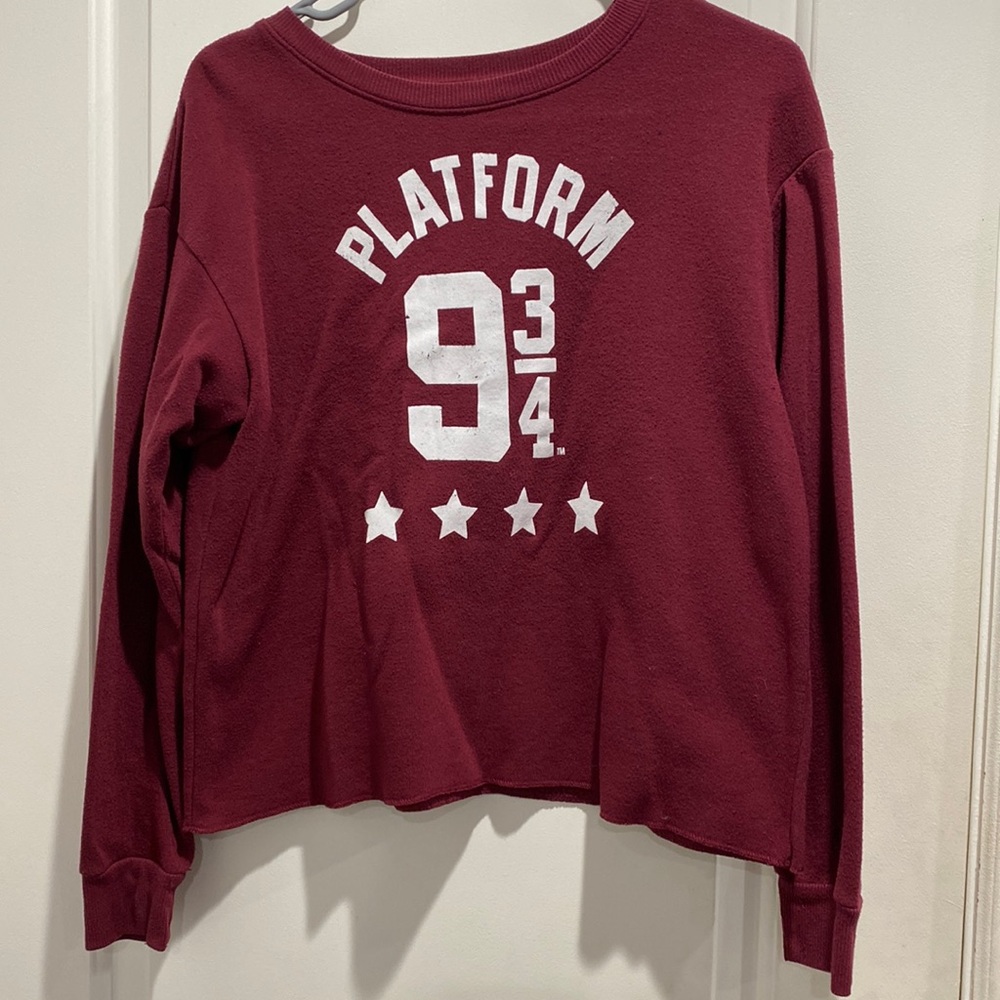 Harry Potter Platform 9 3/4 boxy sweater